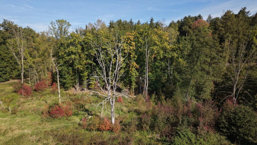 Luftaufnahme vom Vereinsgelände, Herbstturnier 2026, Foto 6
