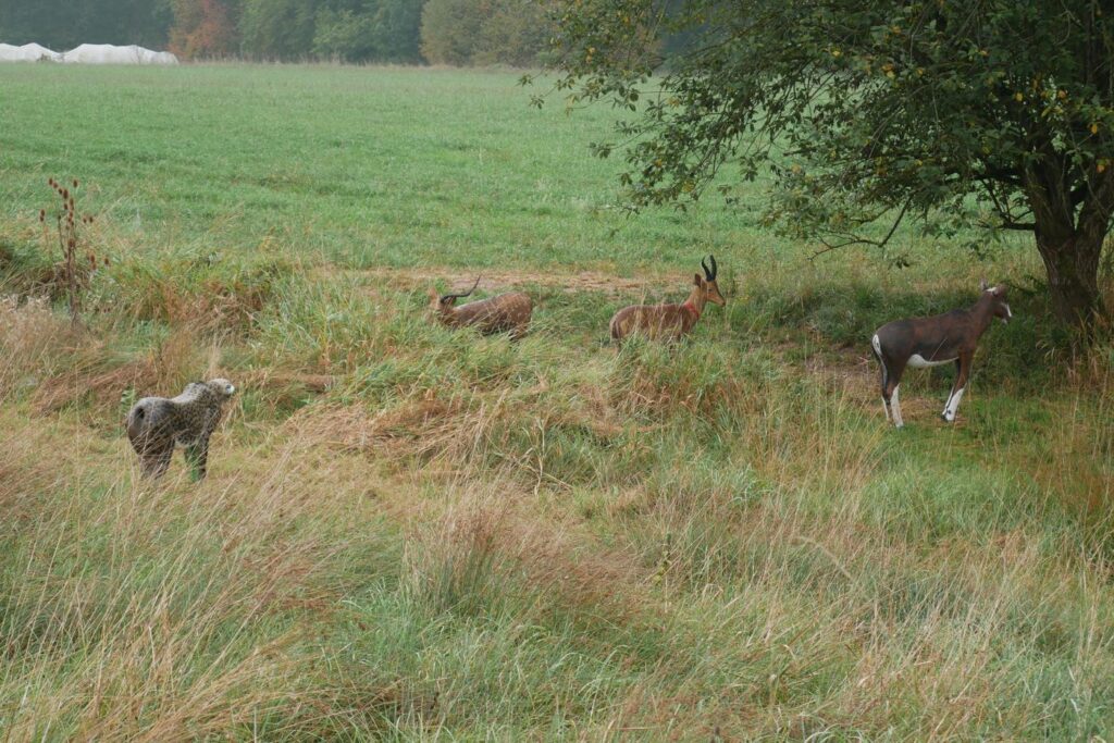 Herbstturnier 2026, Foto 107