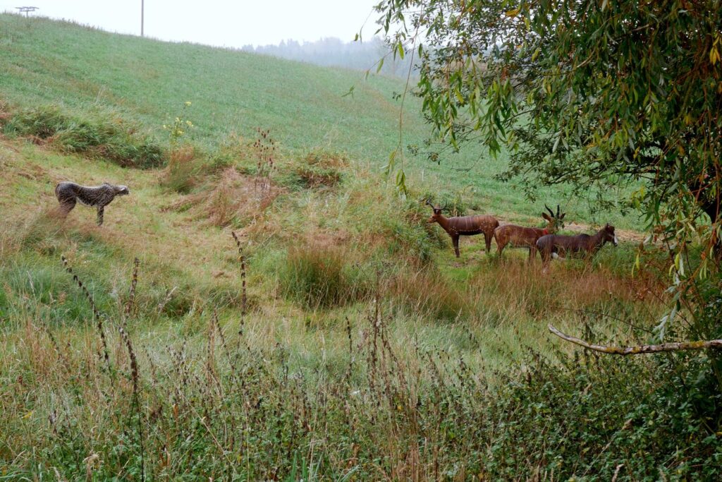 Herbstturnier 2026, Foto 111