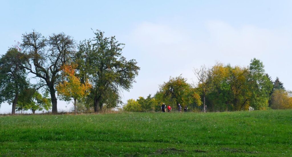 Herbstturnier 2026, Foto 123