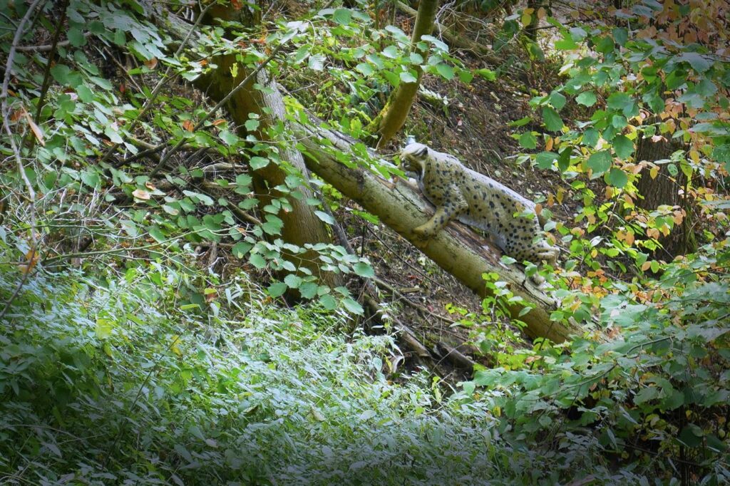 Herbstturnier 2026, Foto 124
