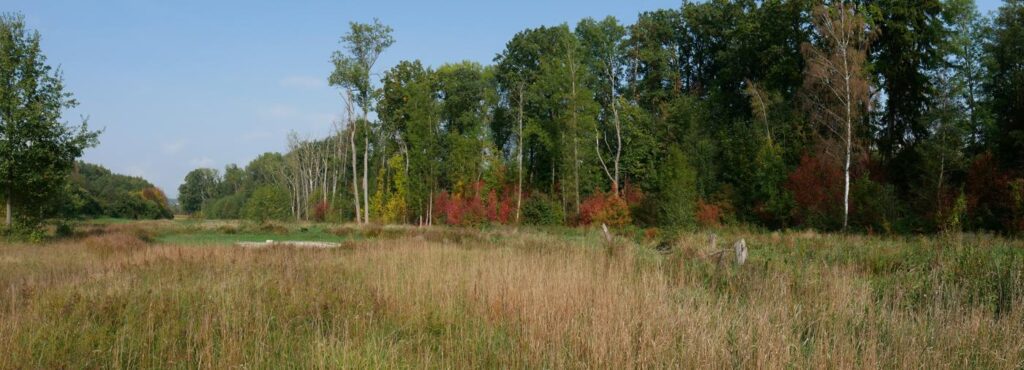 Herbstturnier 2026, Foto 127