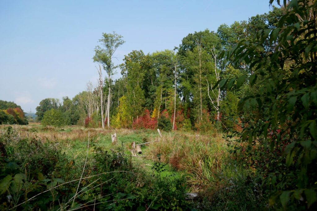 Herbstturnier 2026, Foto 128