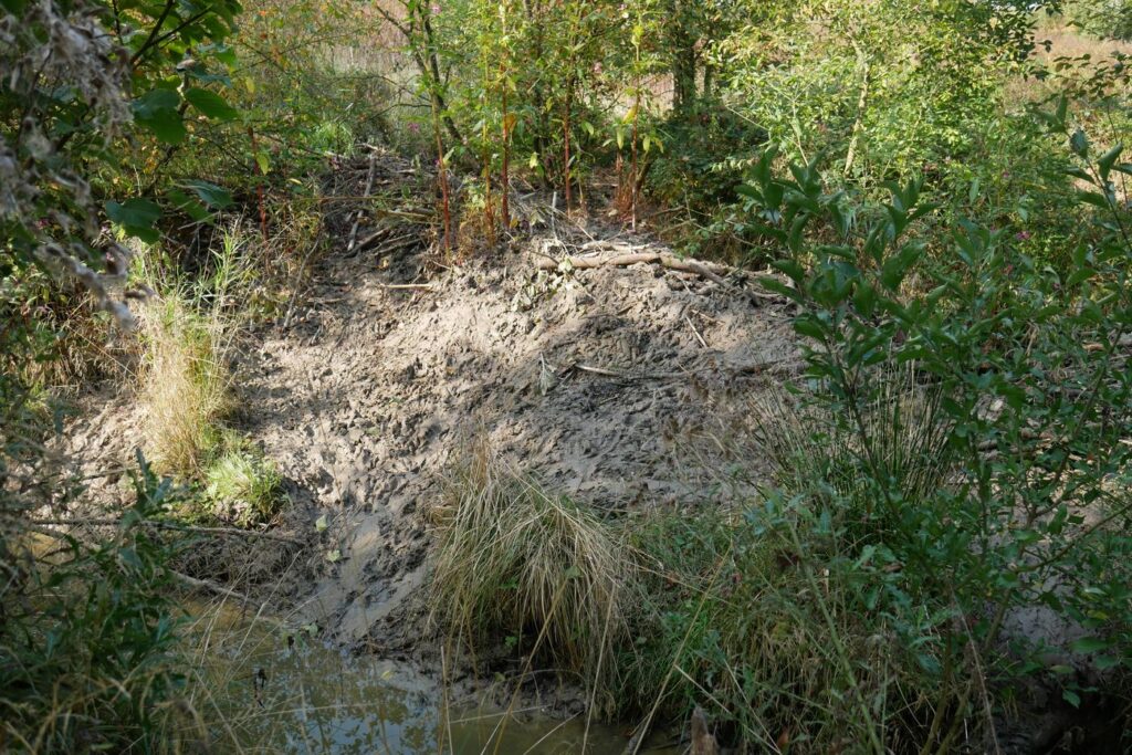 Herbstturnier 2026, Foto 129