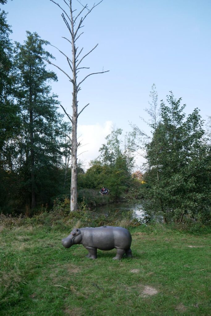 Herbstturnier 2026, Foto 135