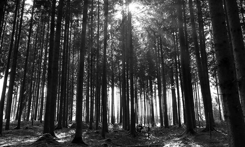 Herbstturnier 2026, Foto 174
