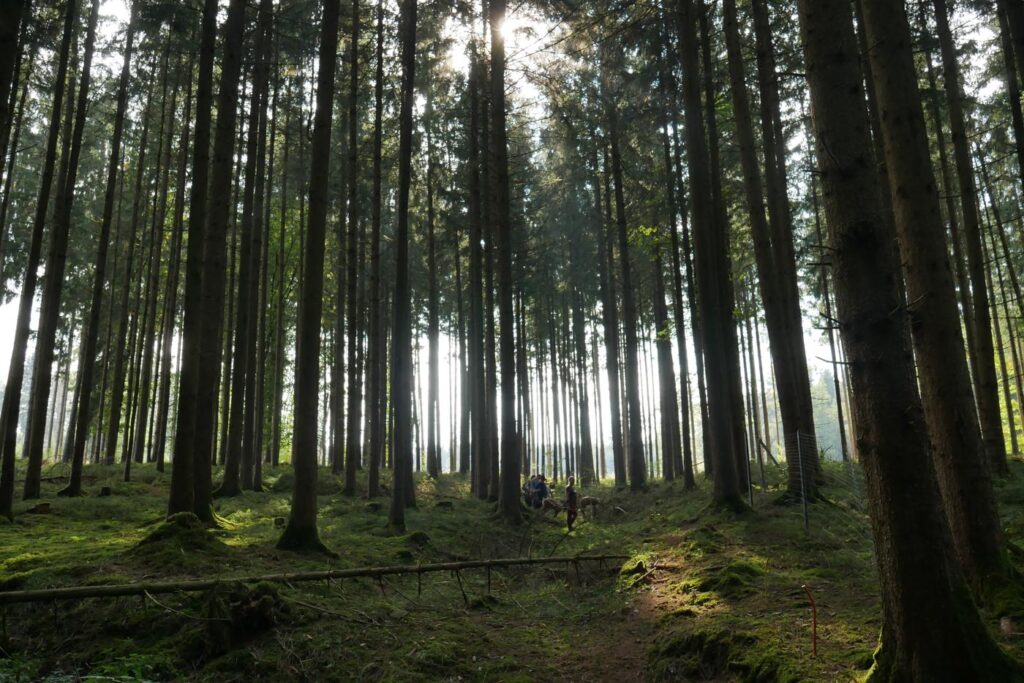 Herbstturnier 2026, Foto 175