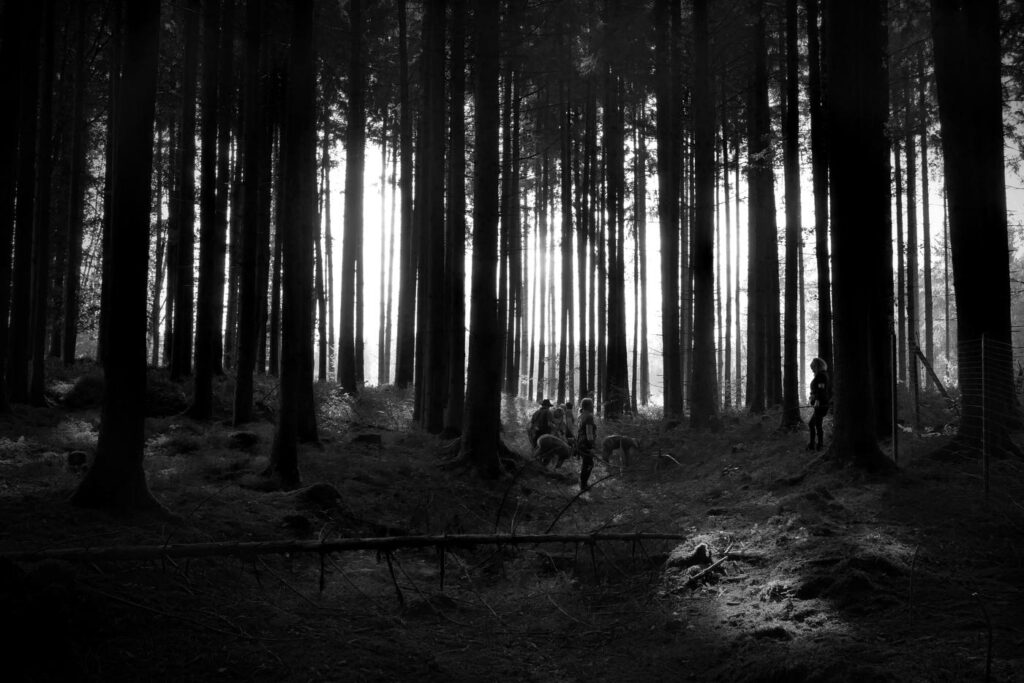 Herbstturnier 2026, Foto 176