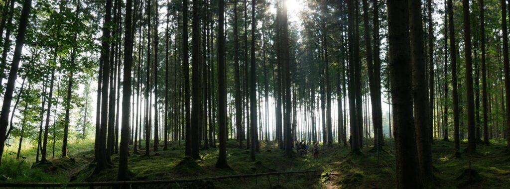 Herbstturnier 2026, Foto 179
