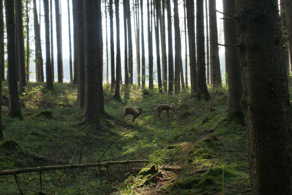 Herbstturnier 2026, Foto 180
