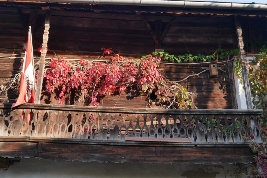 Herbstturnier 2026, Foto 204