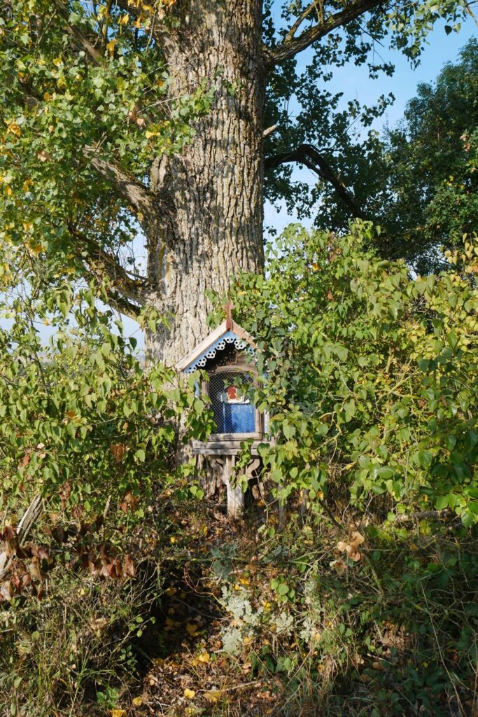Herbstturnier 2026, Foto 207