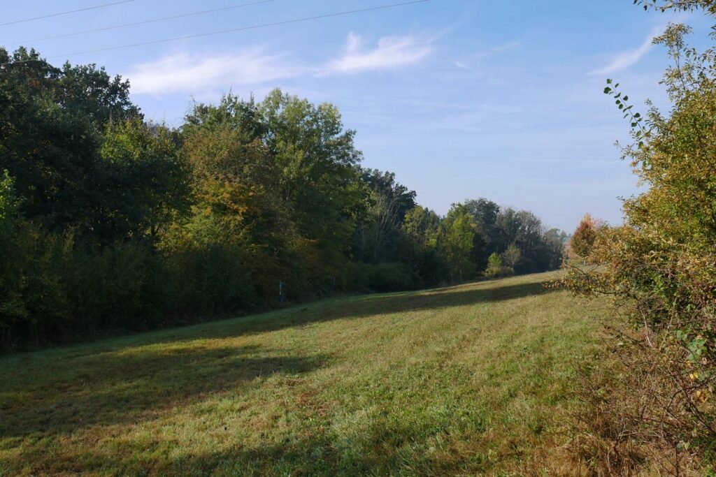 Herbstturnier 2026, Foto 231