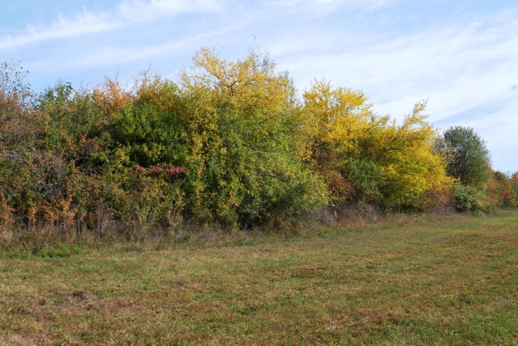 Herbstturnier 2026, Foto 239