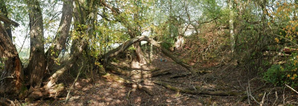 Herbstturnier 2026, Foto 245