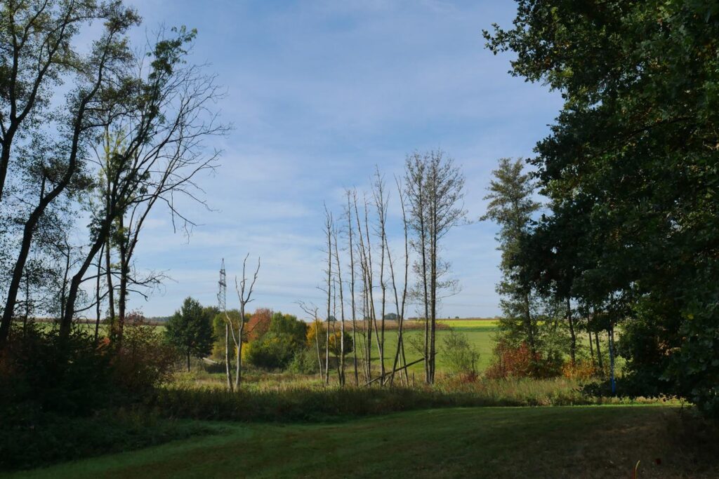 Herbstturnier 2026, Foto 249