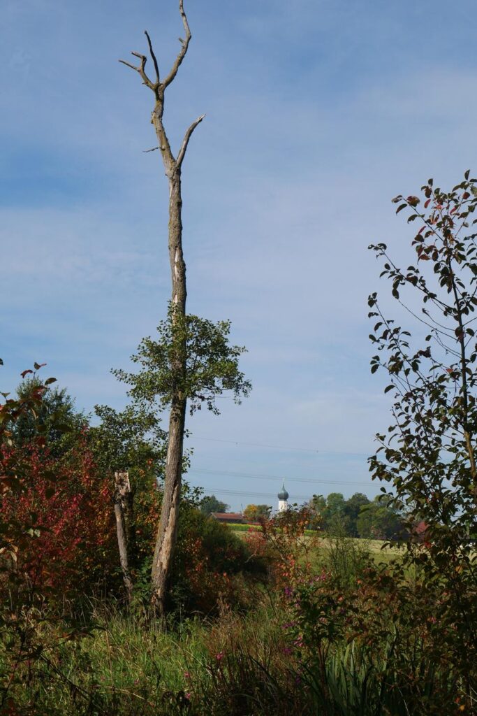 Herbstturnier 2026, Foto 250
