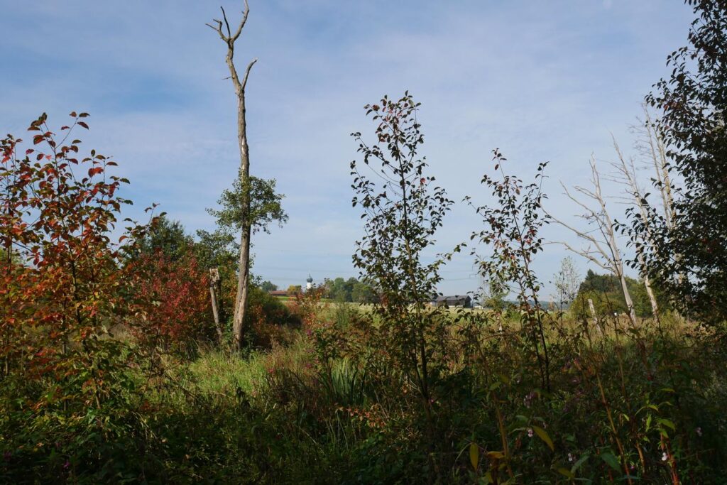 Herbstturnier 2026, Foto 251
