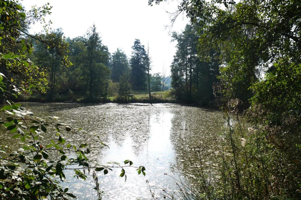 Herbstturnier 2026, Foto 252