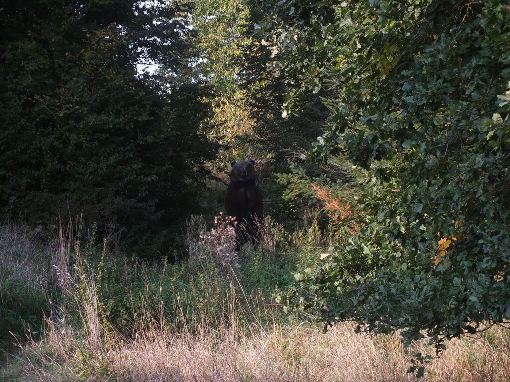 Herbstturnier 2026, Foto 4
