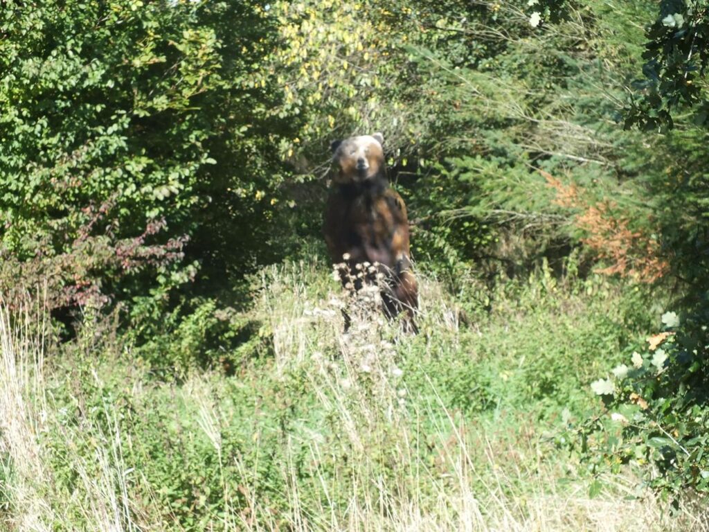 Herbstturnier 2026, Foto 17